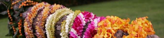 Discovering Hawaiian Leis Types and Styles in Honolulu