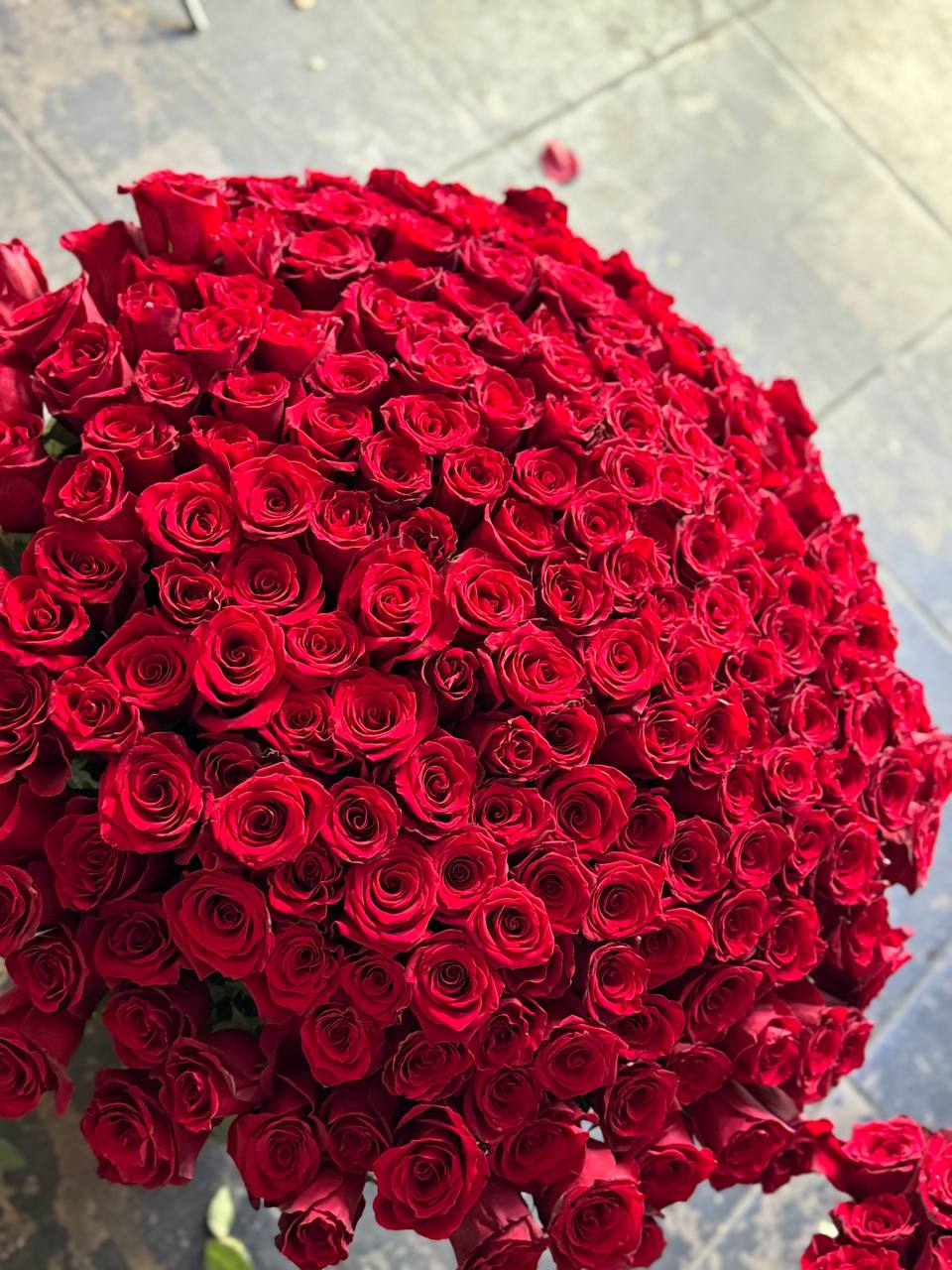 Lust - Los Angeles Florist - Pink Clover