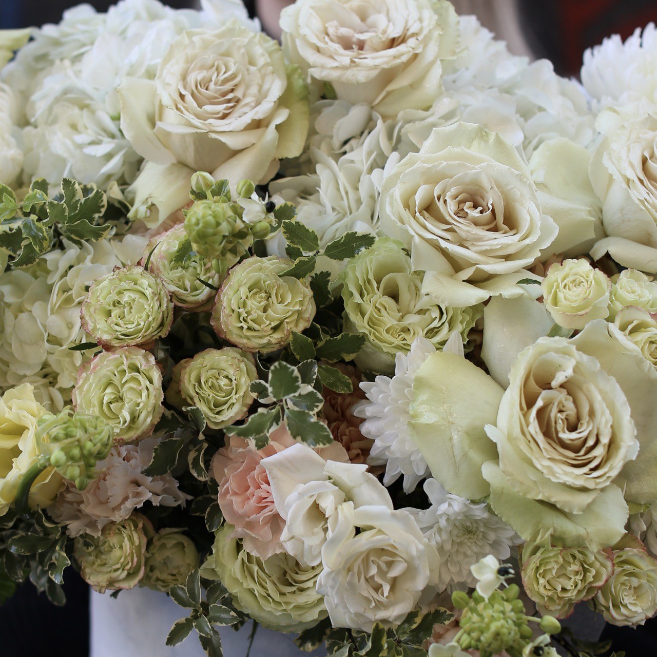 Ficta - Los Angeles Florist - Pink Clover