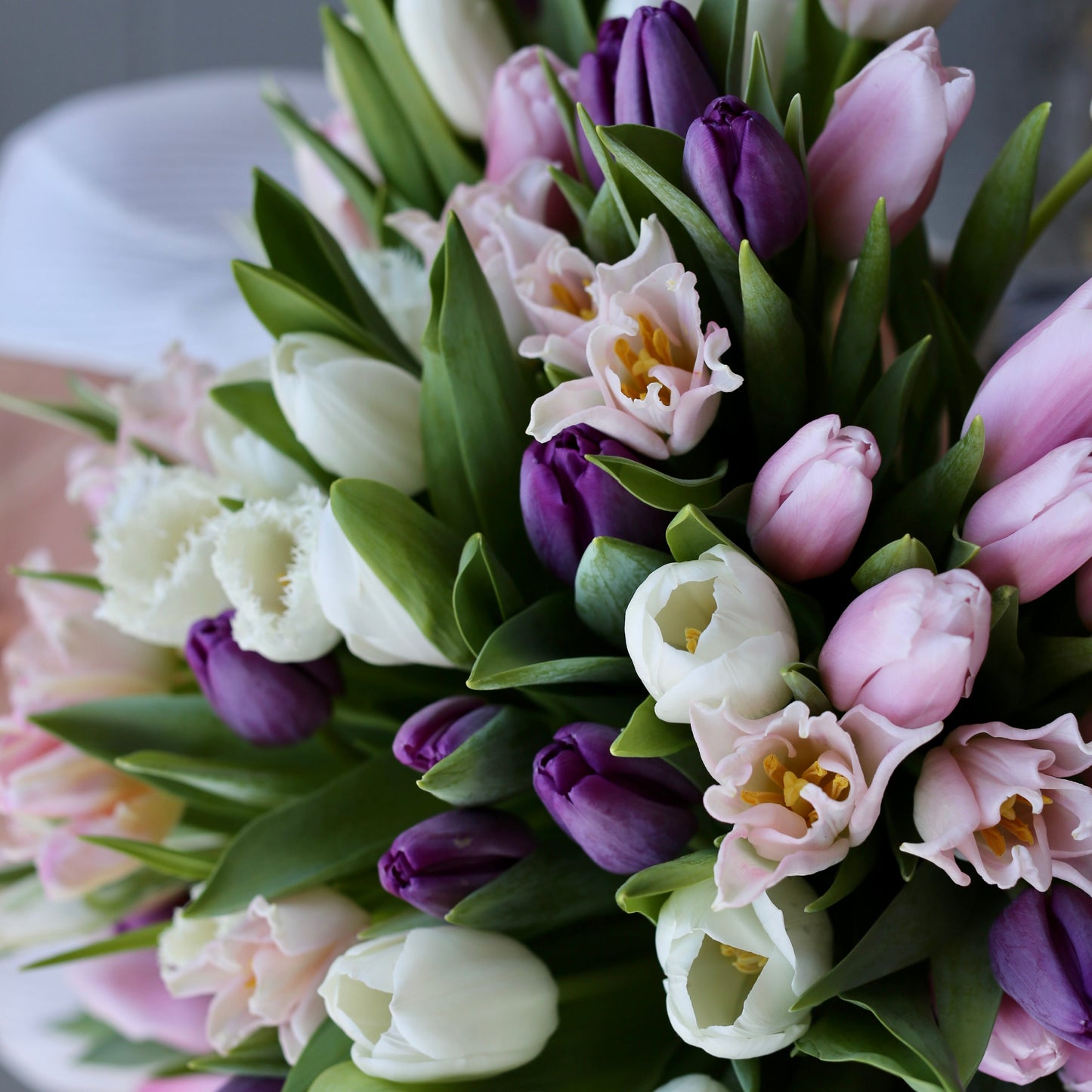 Holland - Los Angeles Florist - Pink Clover