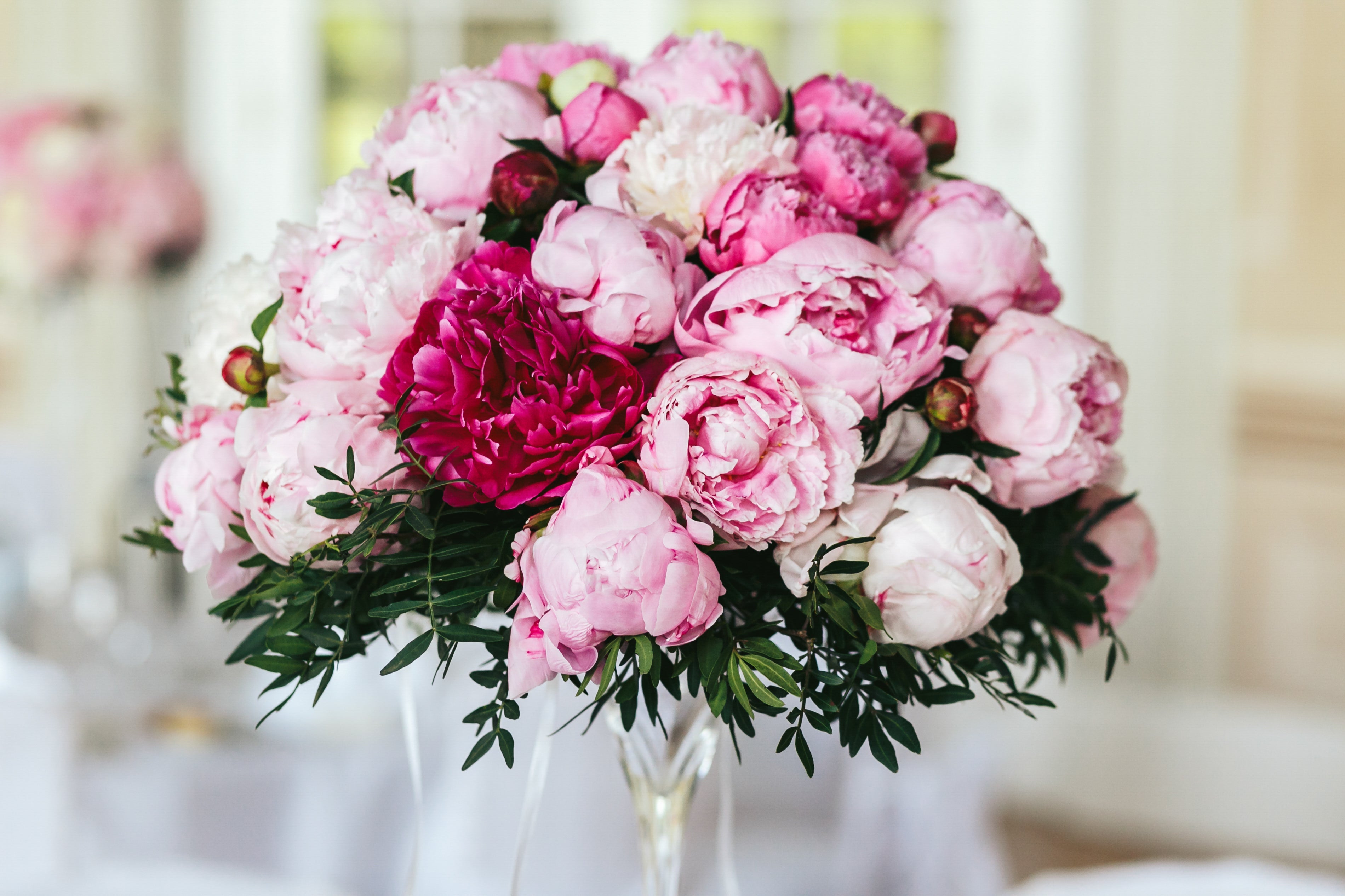 Peonies
