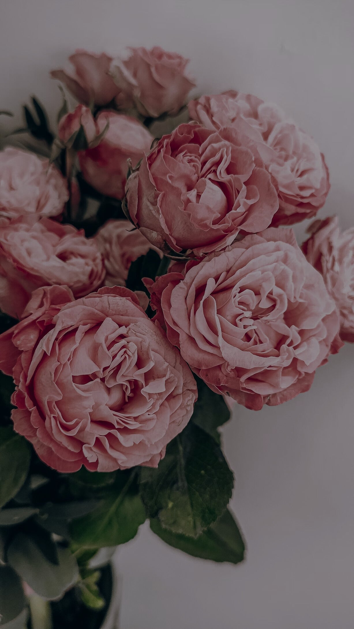 Honolulu Florist