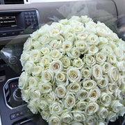 White Roses - Los Angeles Florist - Pink Clover