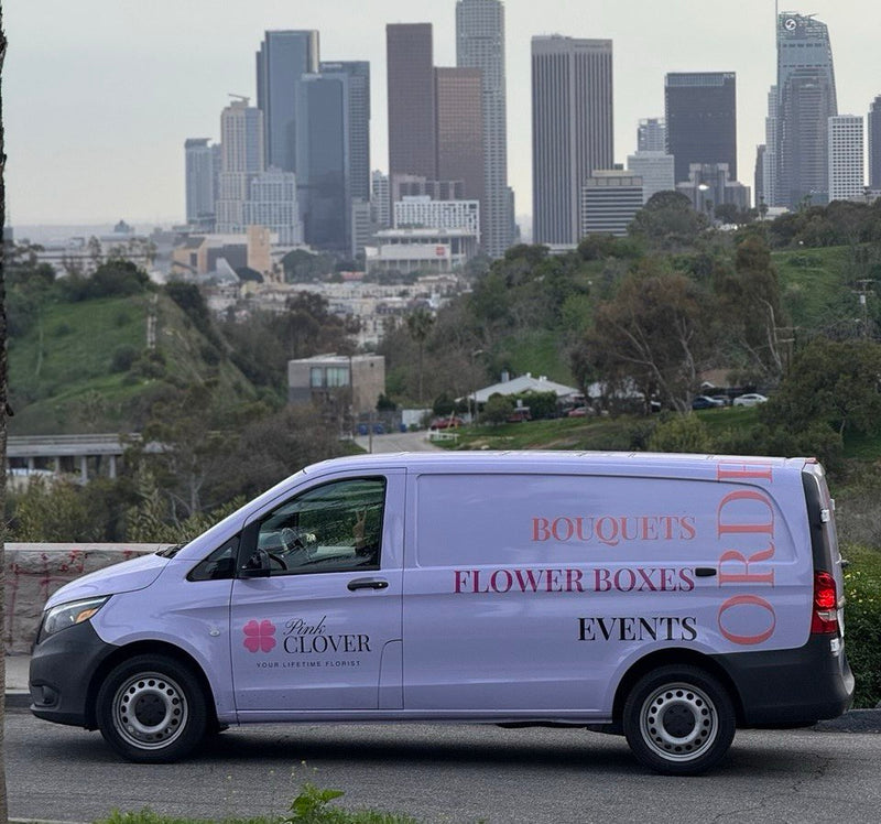 Exact Delivery Time (9AM-12PM)