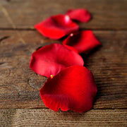Rose Petals - Los Angeles Florist - Pink Clover