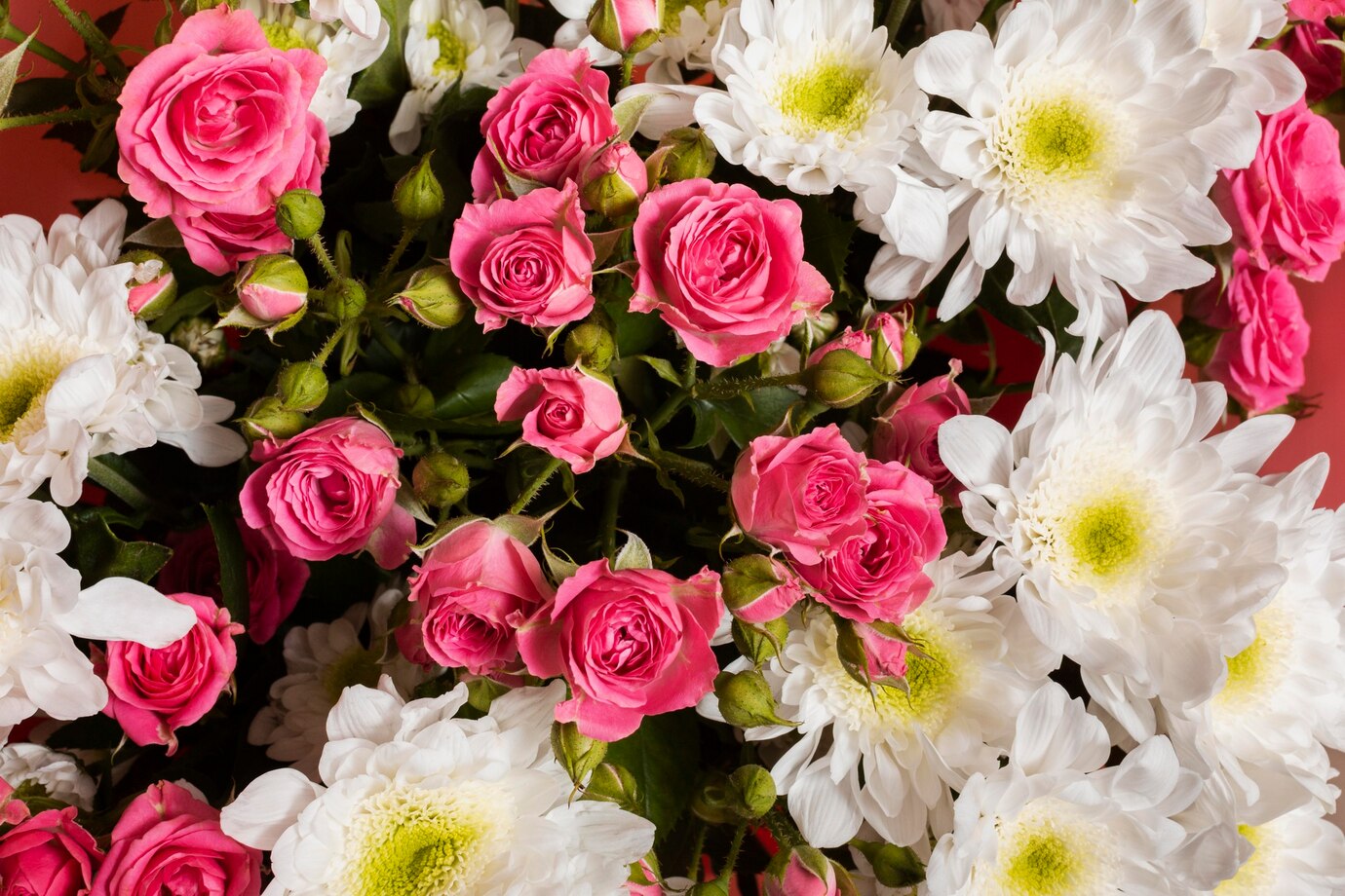 composition-beautiful-flowers-wallpaper_23-2149057020.jpg