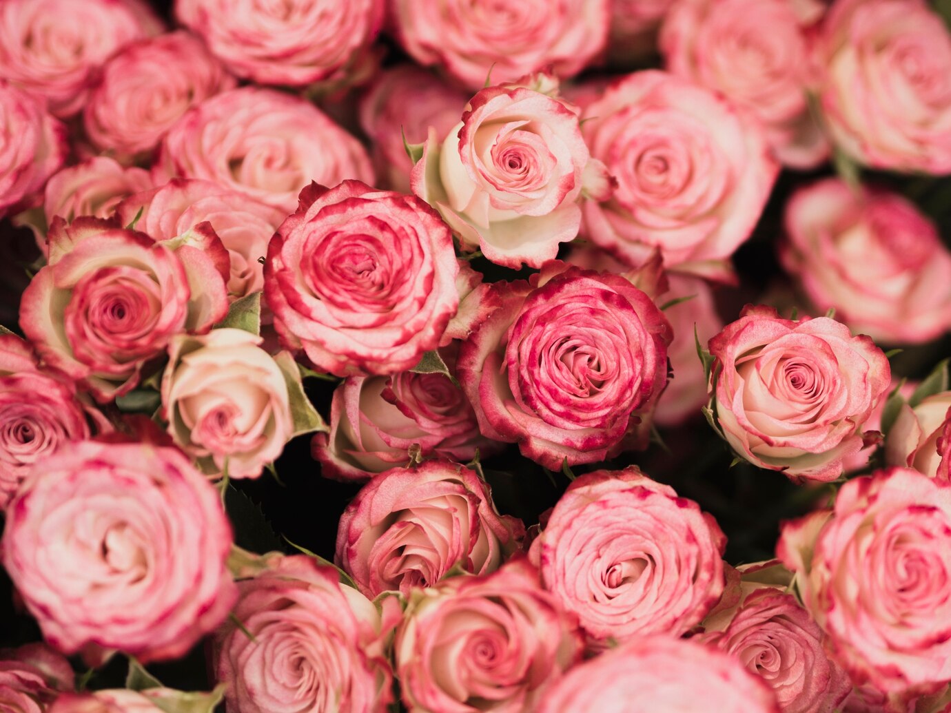 front-view-romantic-roses_23-2148380937.jpg