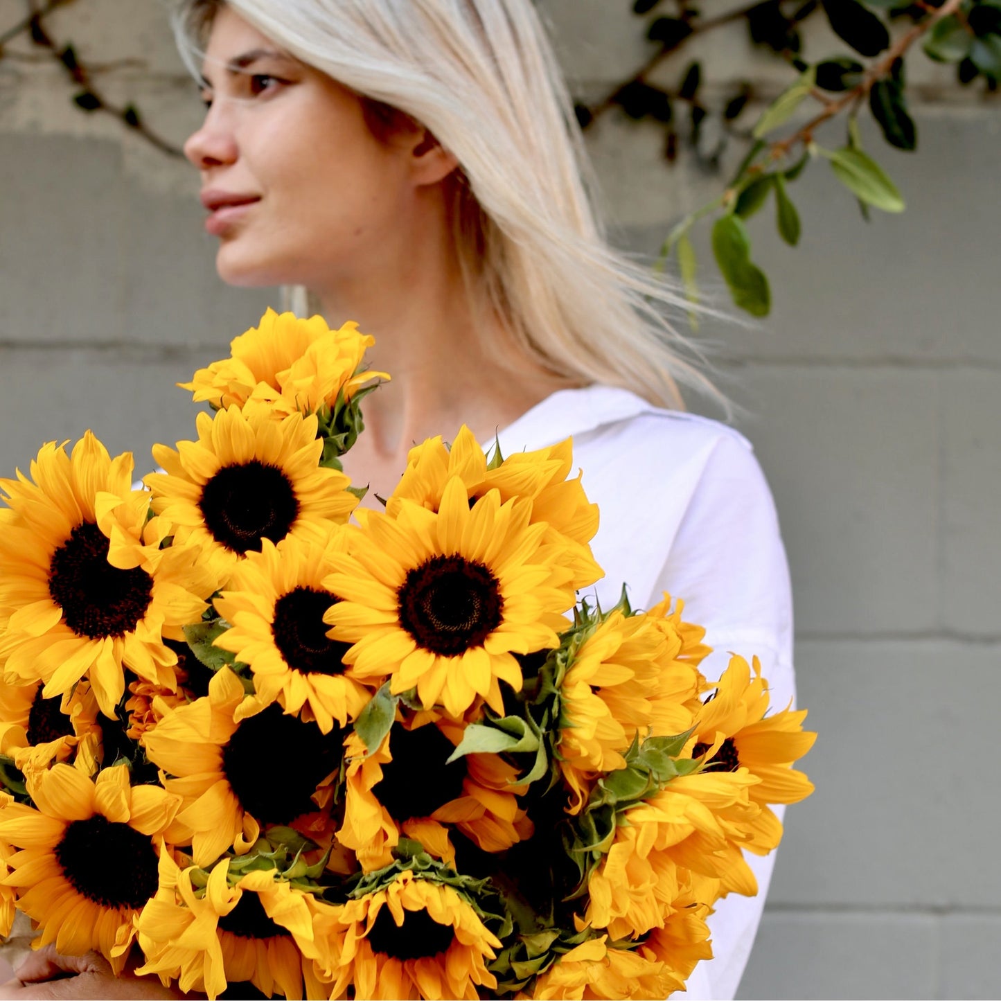 Sunshine - Los Angeles Florist - Pink Clover