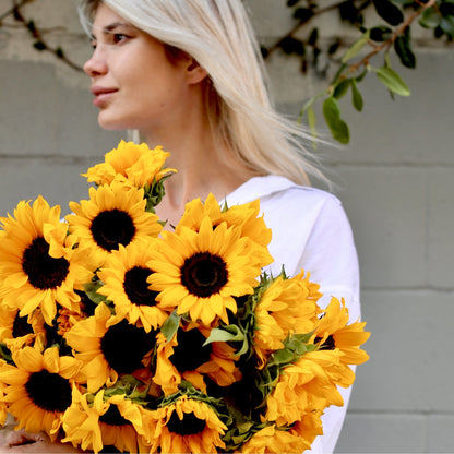 Sunshine - Los Angeles Florist - Pink Clover