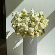 Prestige - Los Angeles Florist - Pink Clover