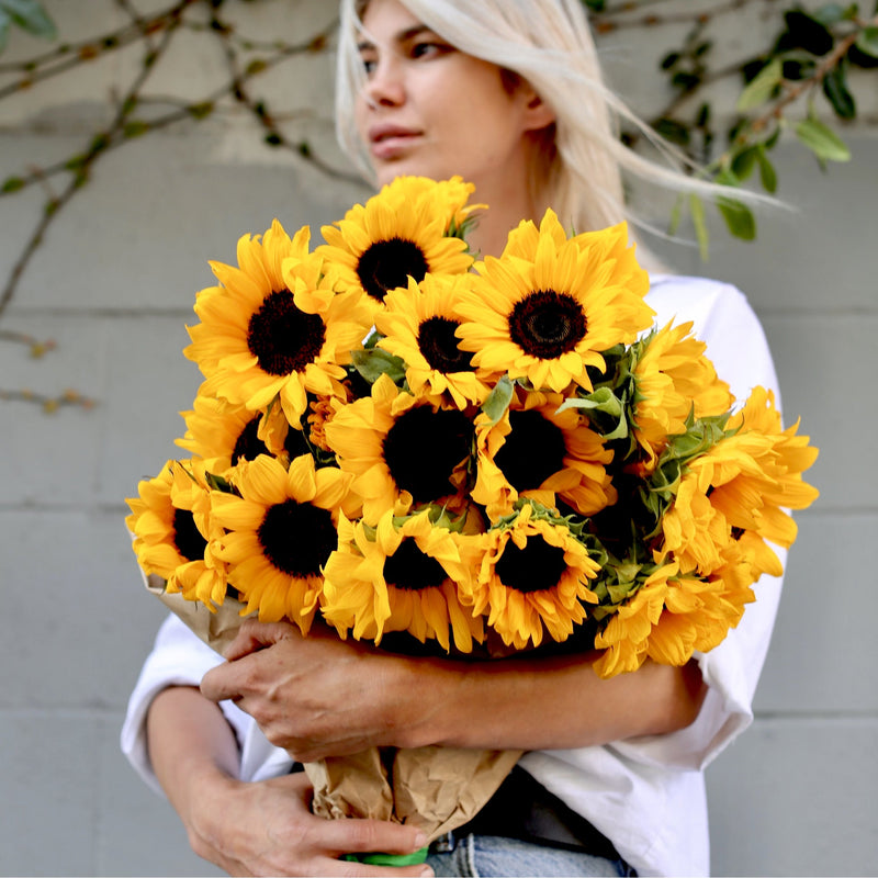 Sunshine — bouquet of sunflowers