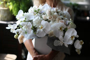 Nella - Los Angeles Florist - Pink Clover